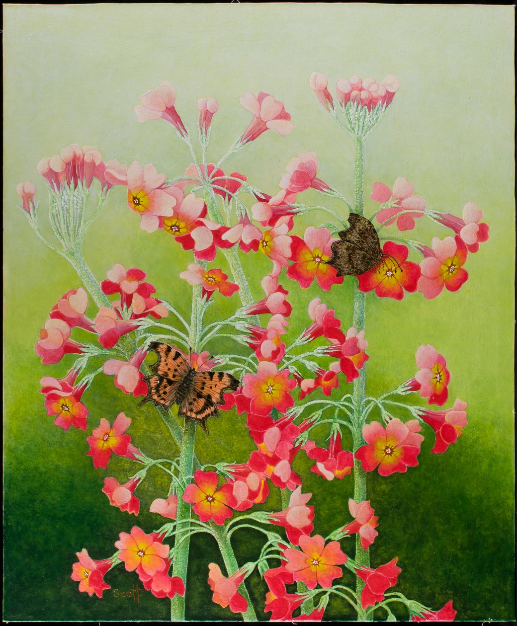 In het roze, 2011 (acryl op calico) door Pat Scott