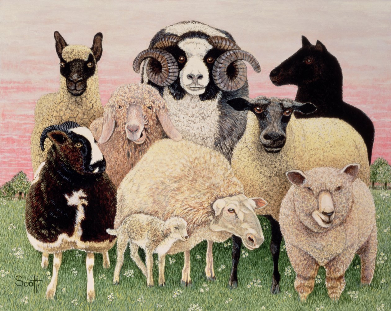Heerlijkheid voor herders door Pat Scott