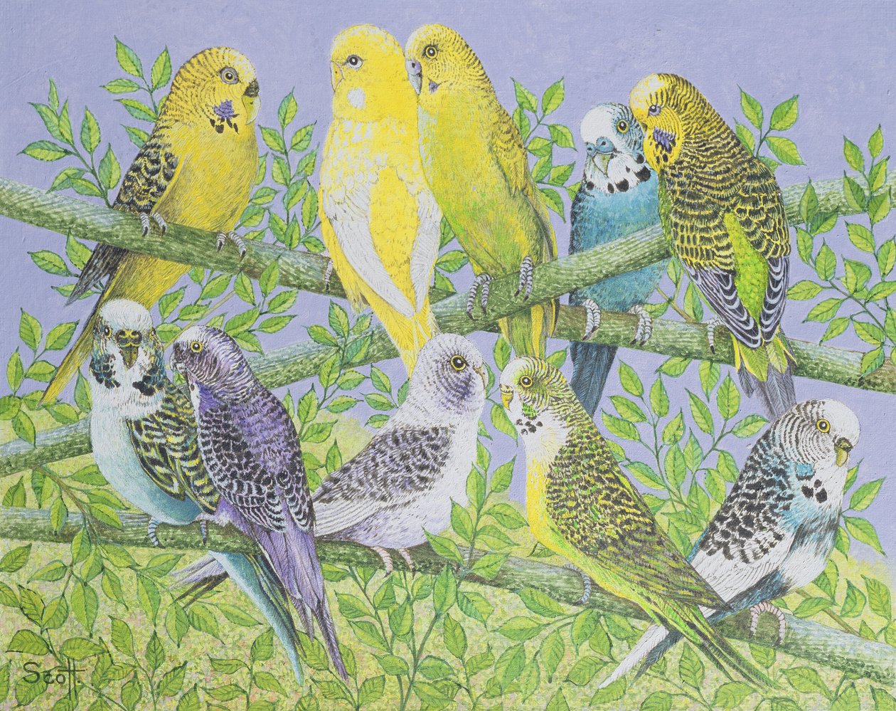 Sweet Talking (acrylverf op doek) door Pat Scott