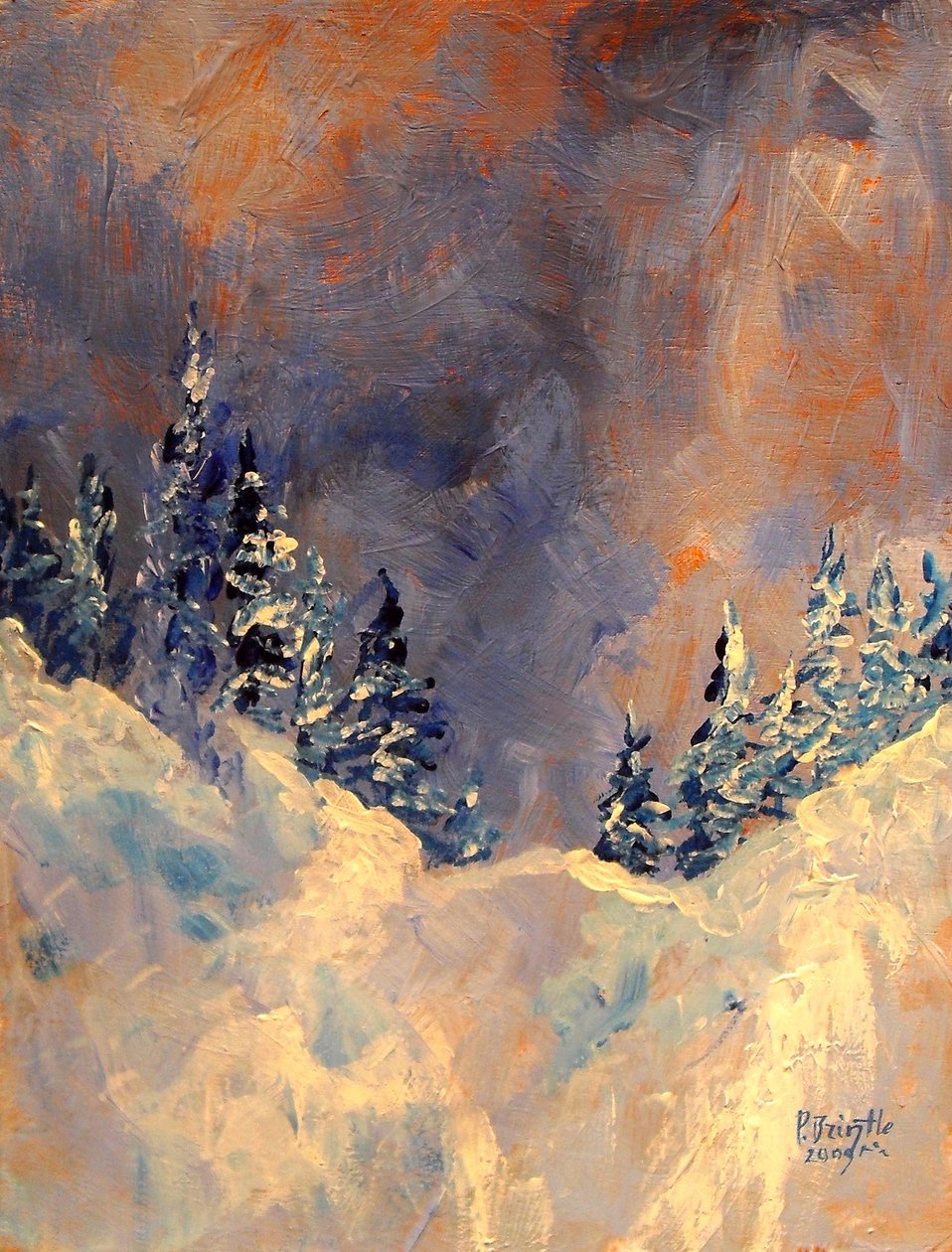 Mist op de sneeuwpiek, 2009 door Patricia Brintle