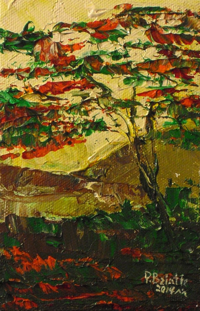 Flamboyant in bloei, 2014 door Patricia Brintle