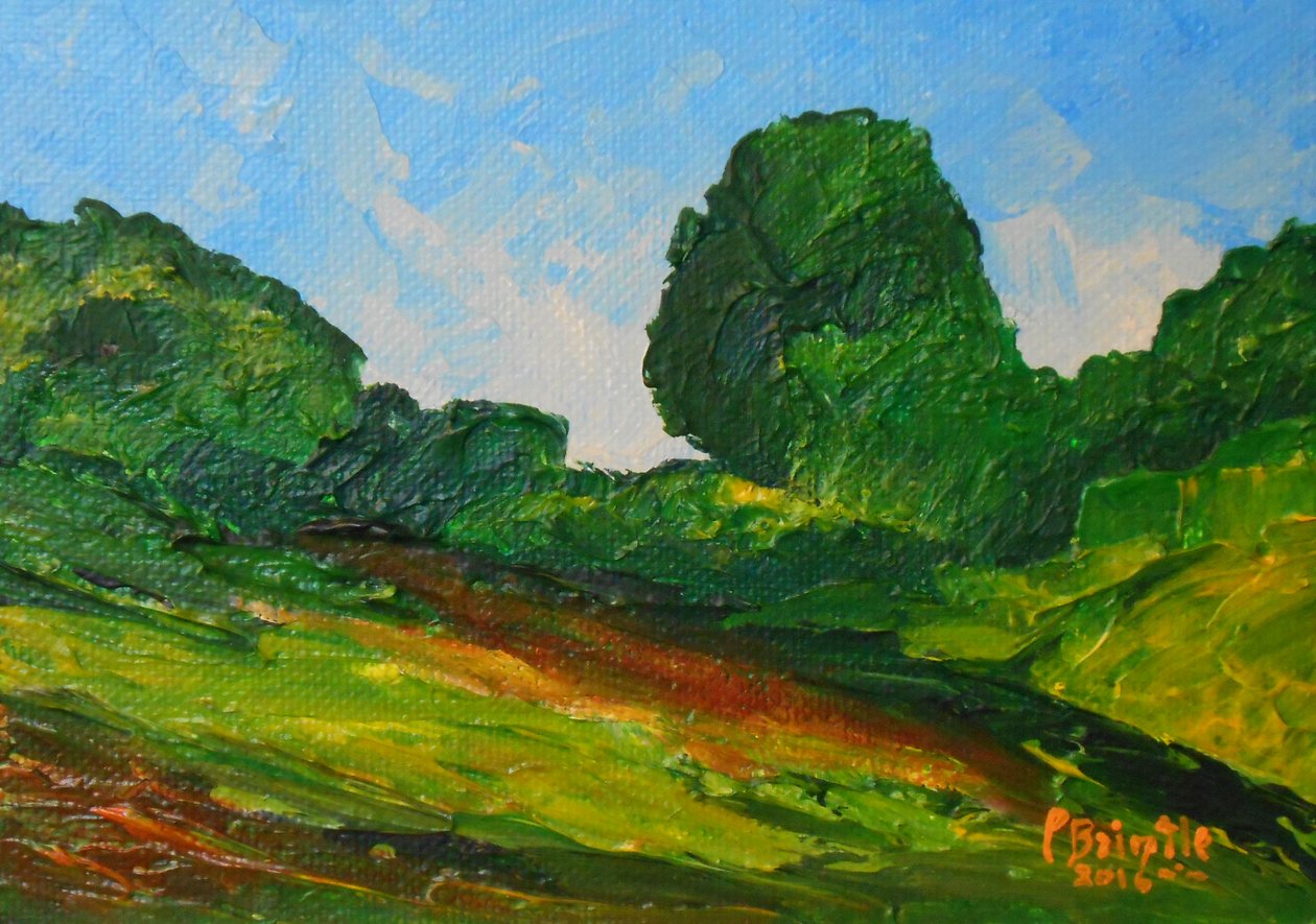 Omgeving van Plaisance, 2016 door Patricia Brintle