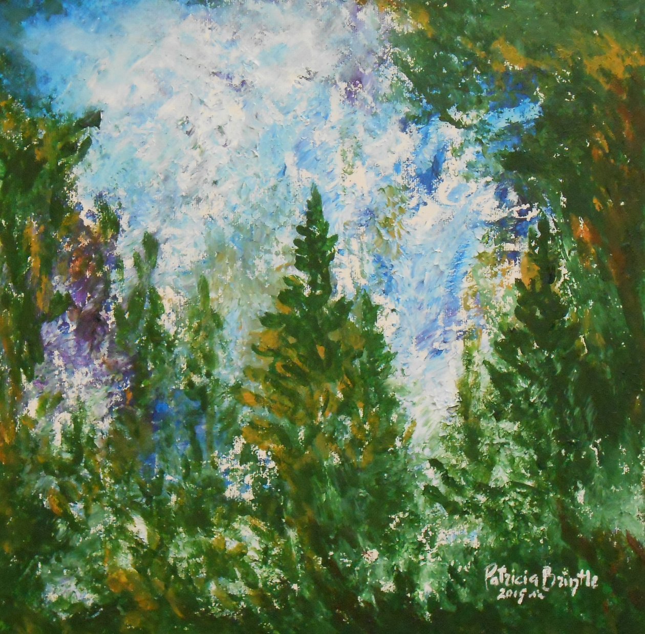 Wintermiddag, 2015 door Patricia Brintle