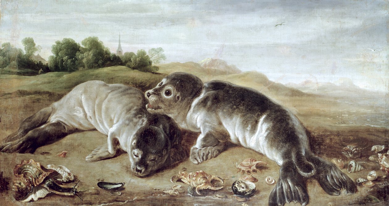 Twee jonge zeehonden aan de kust, ca. 1650 door Paul De Vos