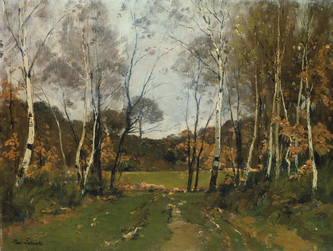 Boslandschap door Paul Lecomte