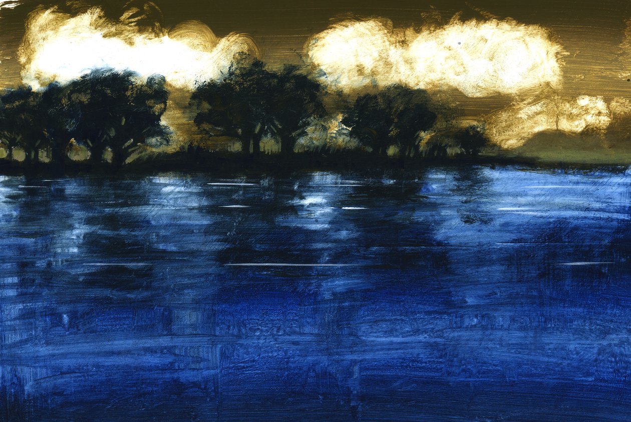 Overstroming, 2009 door Paul Powis