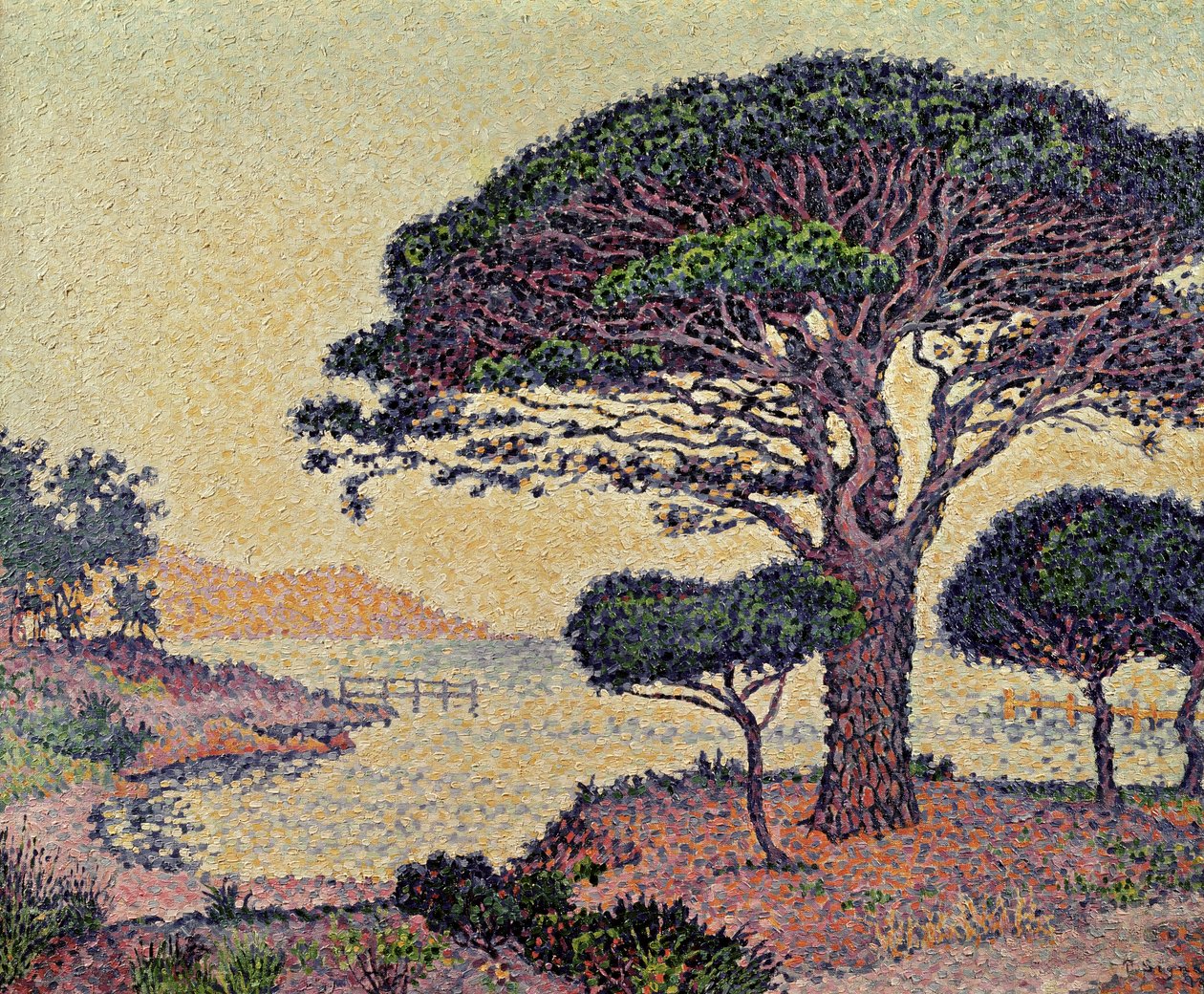 Parasolpijnbomen bij Caroubiers, 1898 door Paul Signac