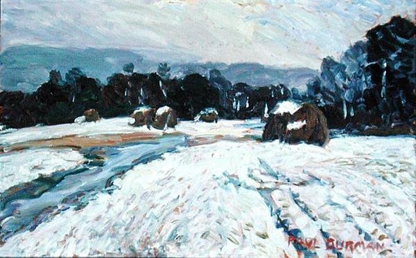 Eerste sneeuw door Paul Burman