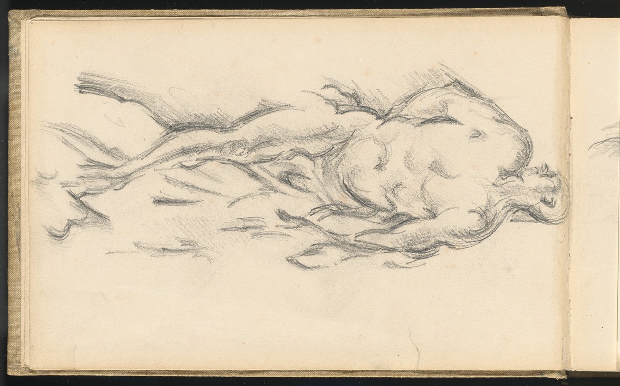 Studie van Puget