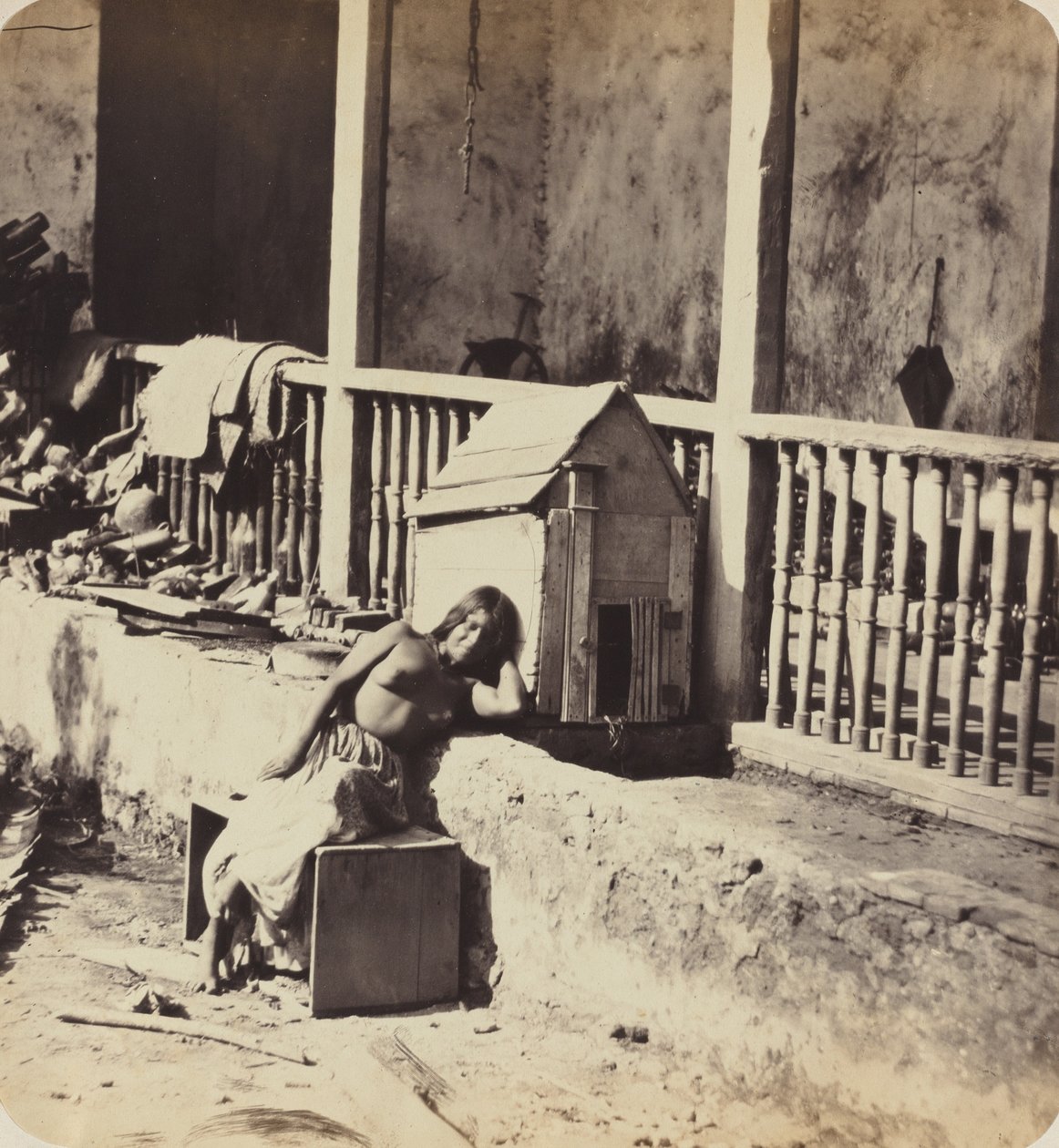 Chien de Garvel (Martinique) door Paul Emile Miot