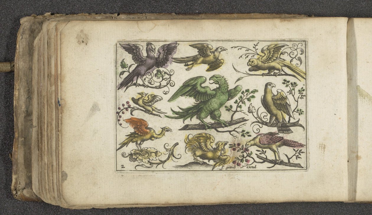 Roofvogel en tien andere vogels door Paul Göttich