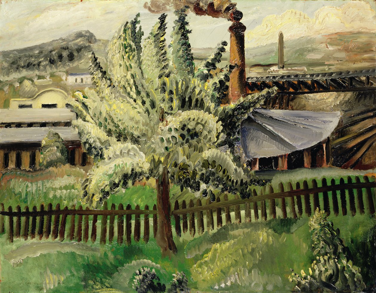 De Boom door Paul Kleinschmidt