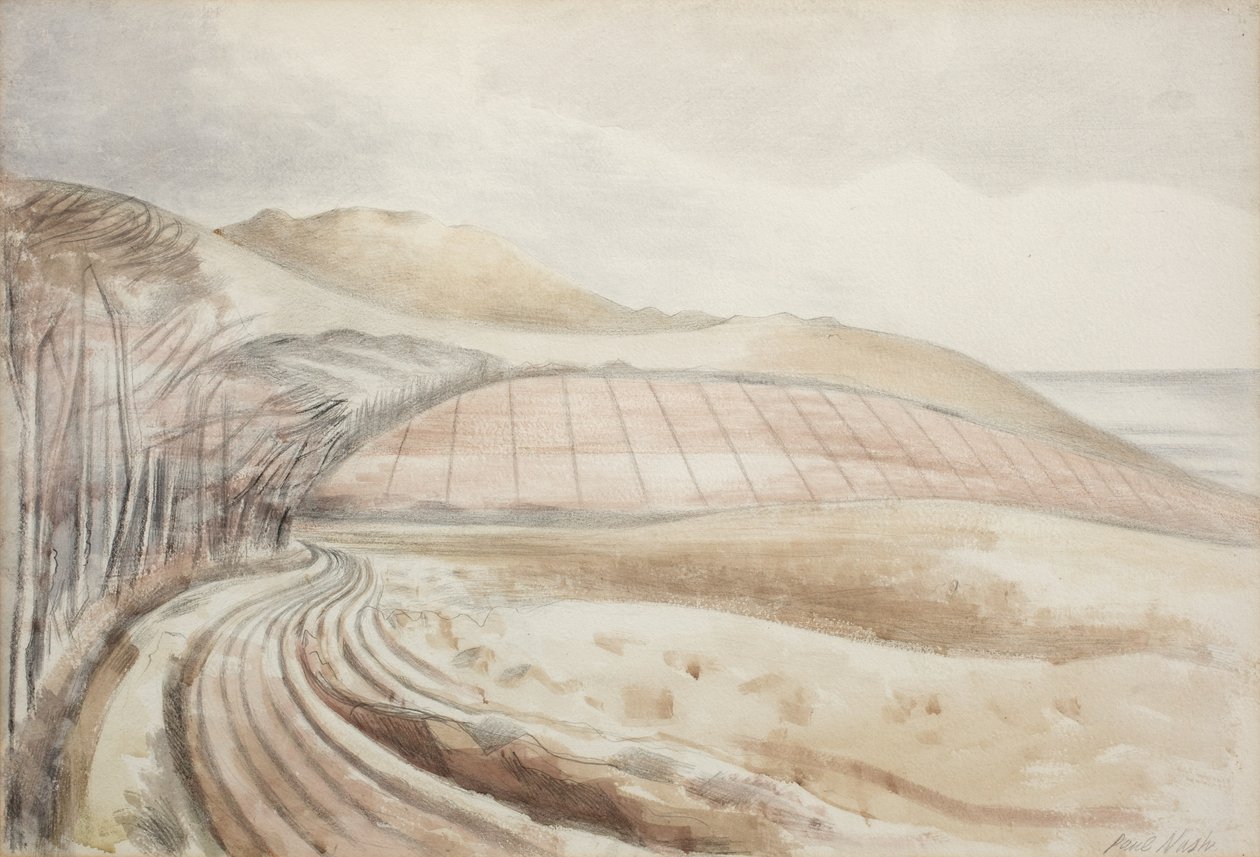 Landschap Dorset door Paul Nash
