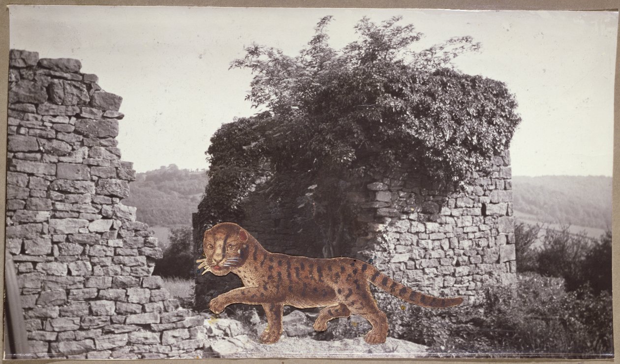 Tijger, Tijger, c.1938 (collage) door Paul Nash
