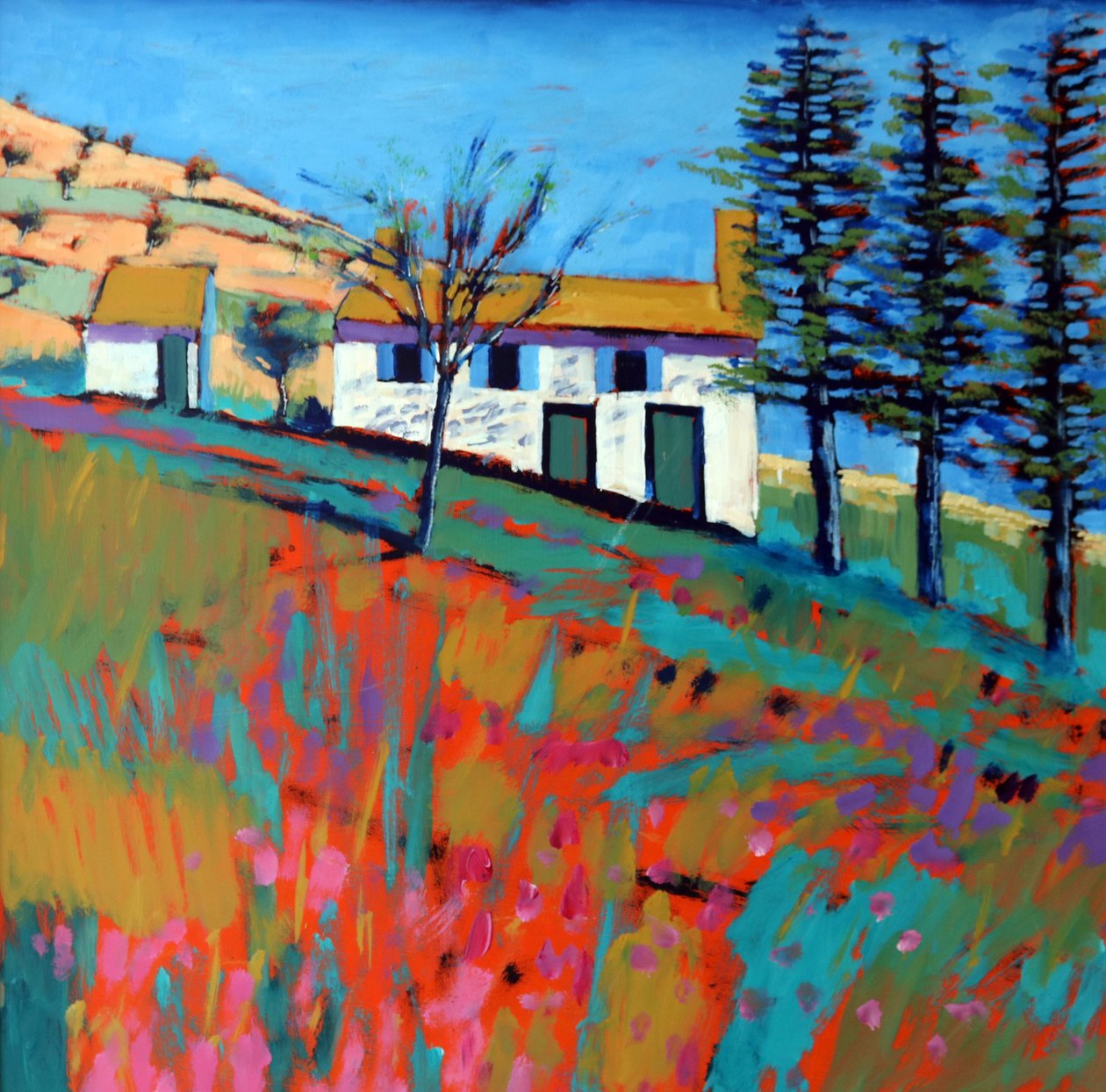 Le Marche door Paul Powis