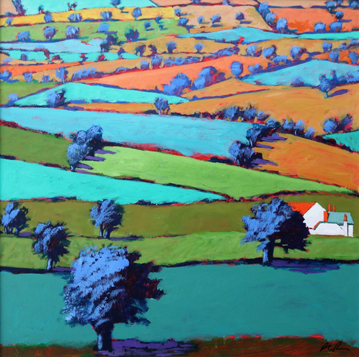 Bij Sidmouth door Paul Powis