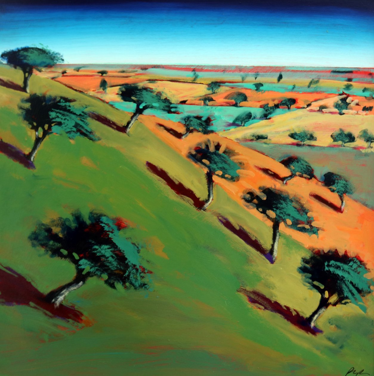 Ragged Stone Hill door Paul Powis