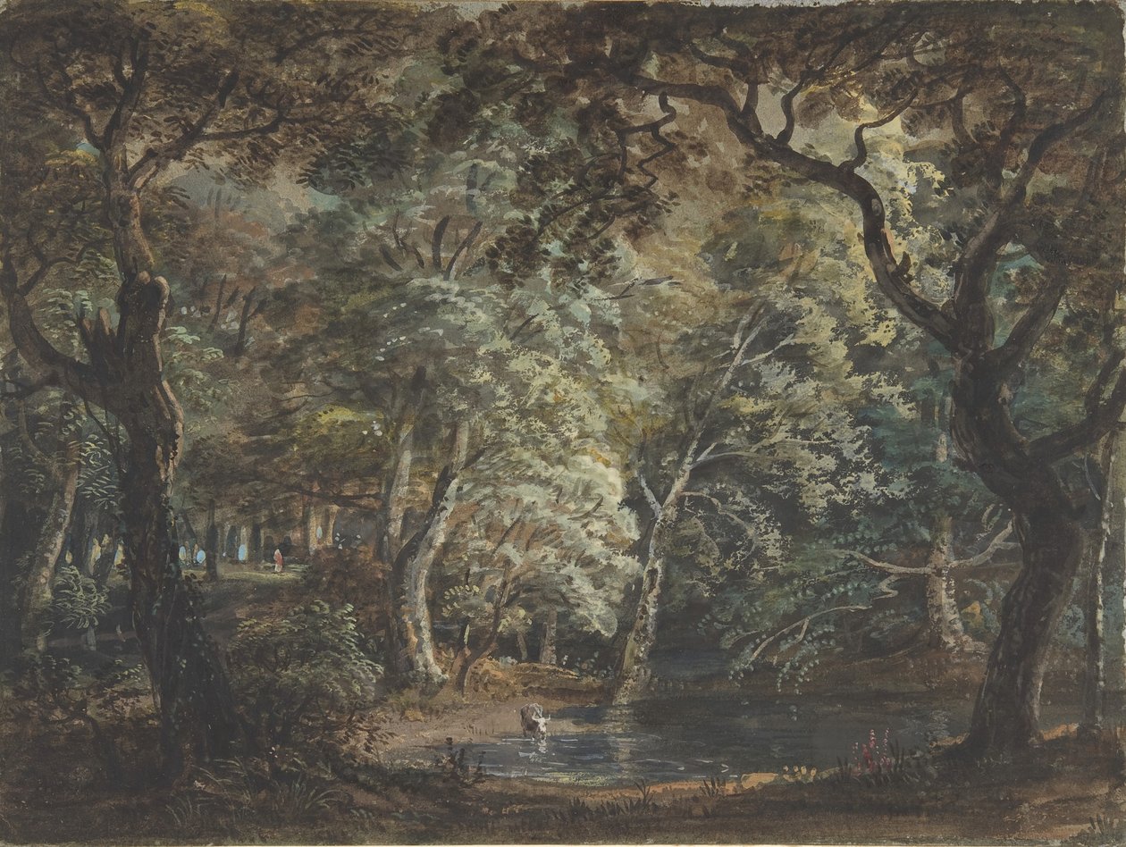 Windsor Great Park, 1790-99 door Paul Sandby