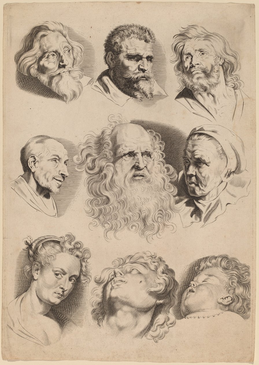 Negen hoofden door Paulus Pontius after Sir Peter Paul Rubens