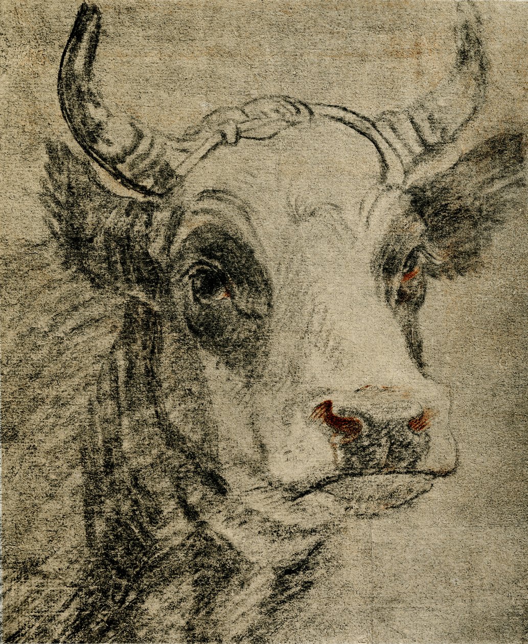 Dierenstudie door Paulus Potter