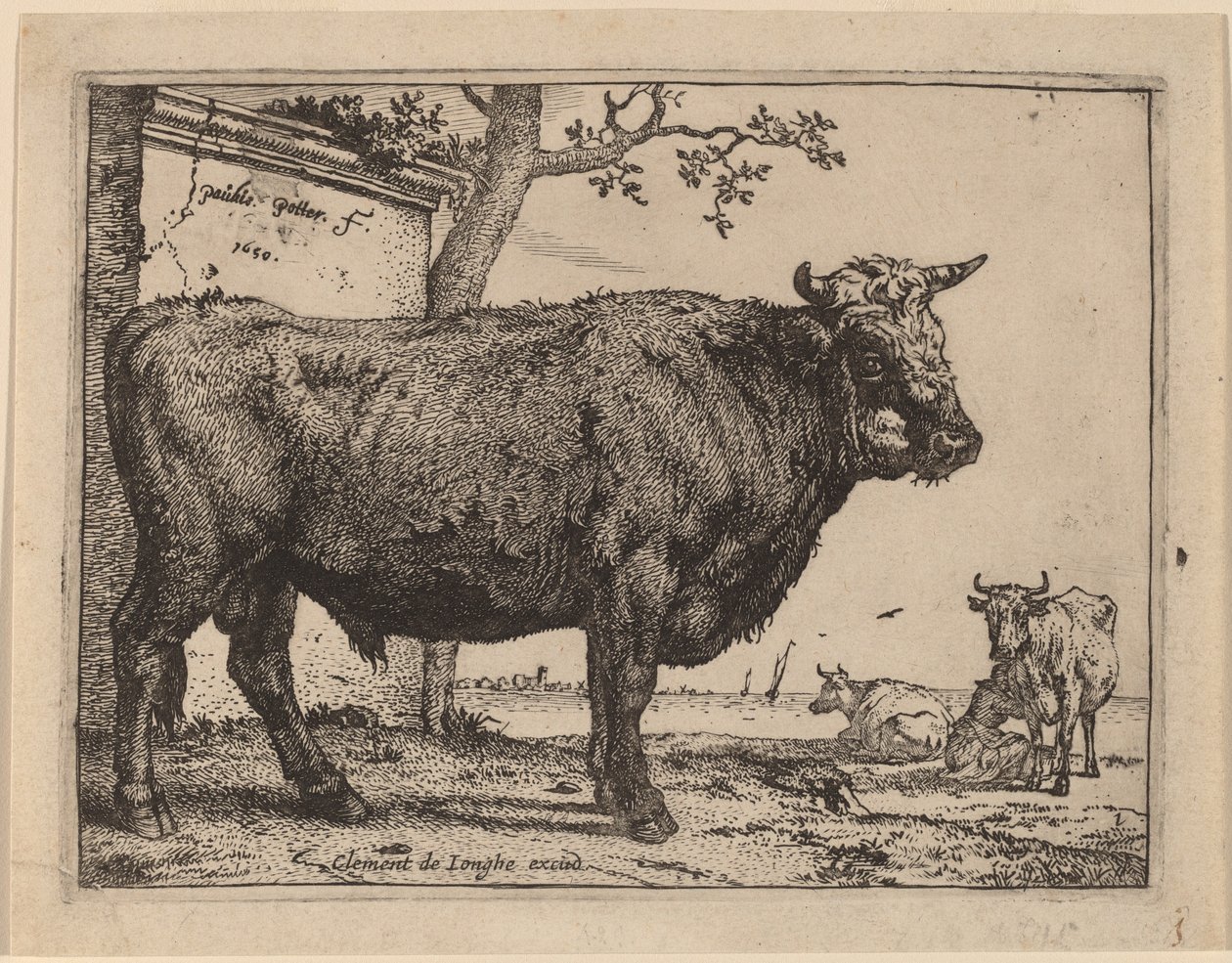 Stier door Paulus Potter