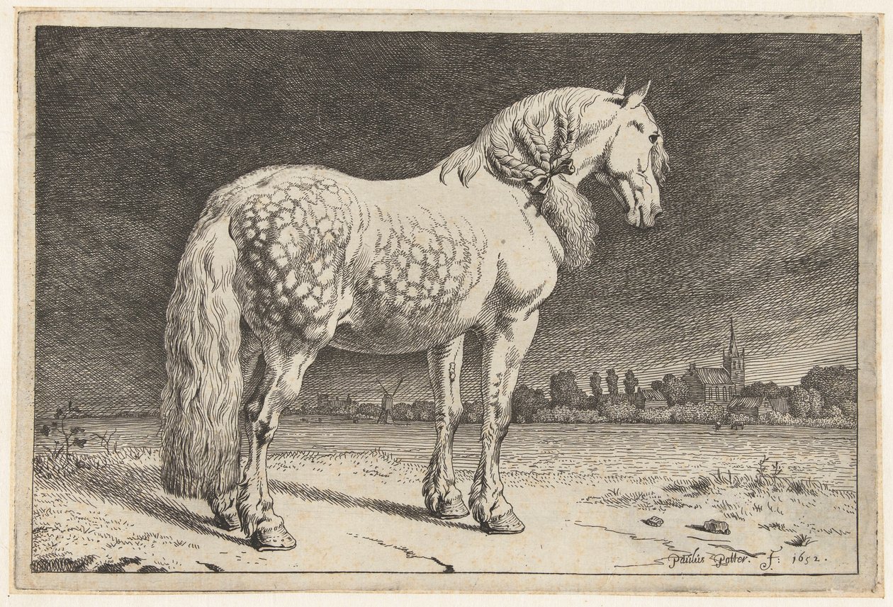 Het Friese paard door Paulus Potter