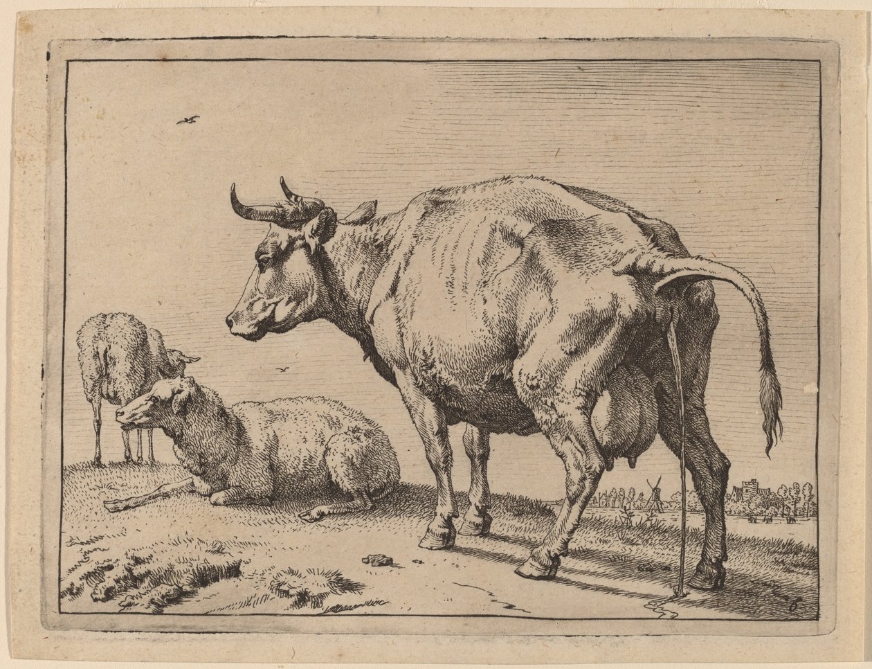 Pissende koe door Paulus Potter