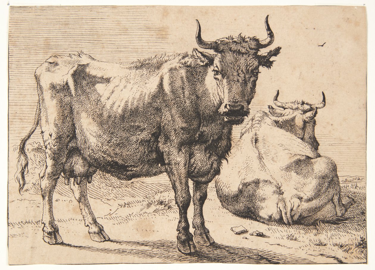 Staande en liggende koe door Paulus Potter