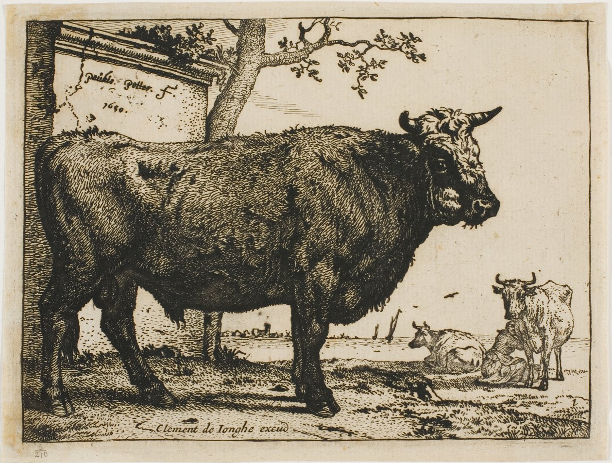 De stier door Paulus Potter
