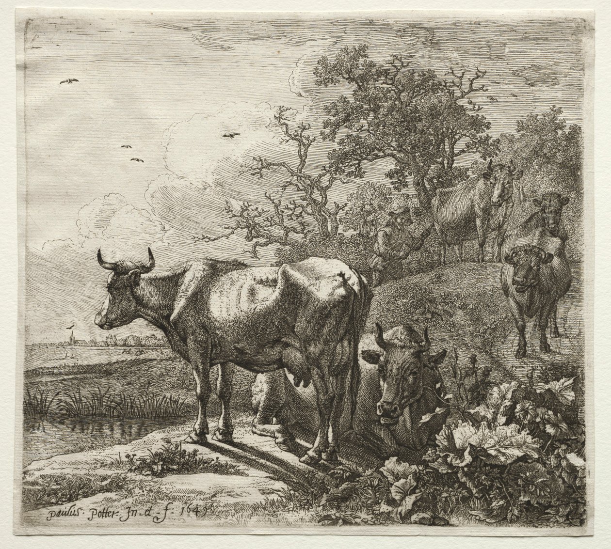 De koeherder door Paulus Potter