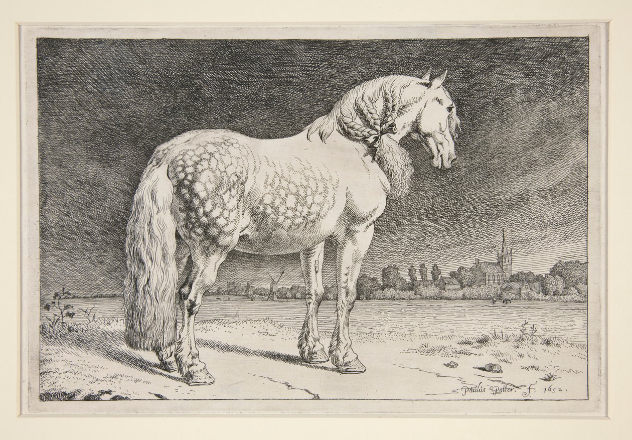 Het Friese Paard door Paulus Potter