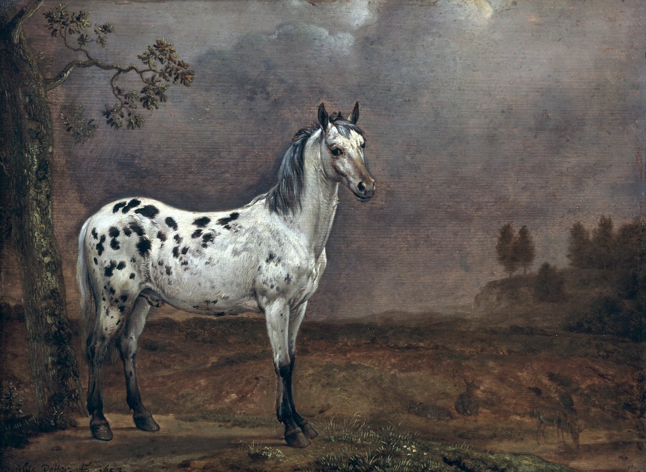 Het Bonte Paard door Paulus Potter