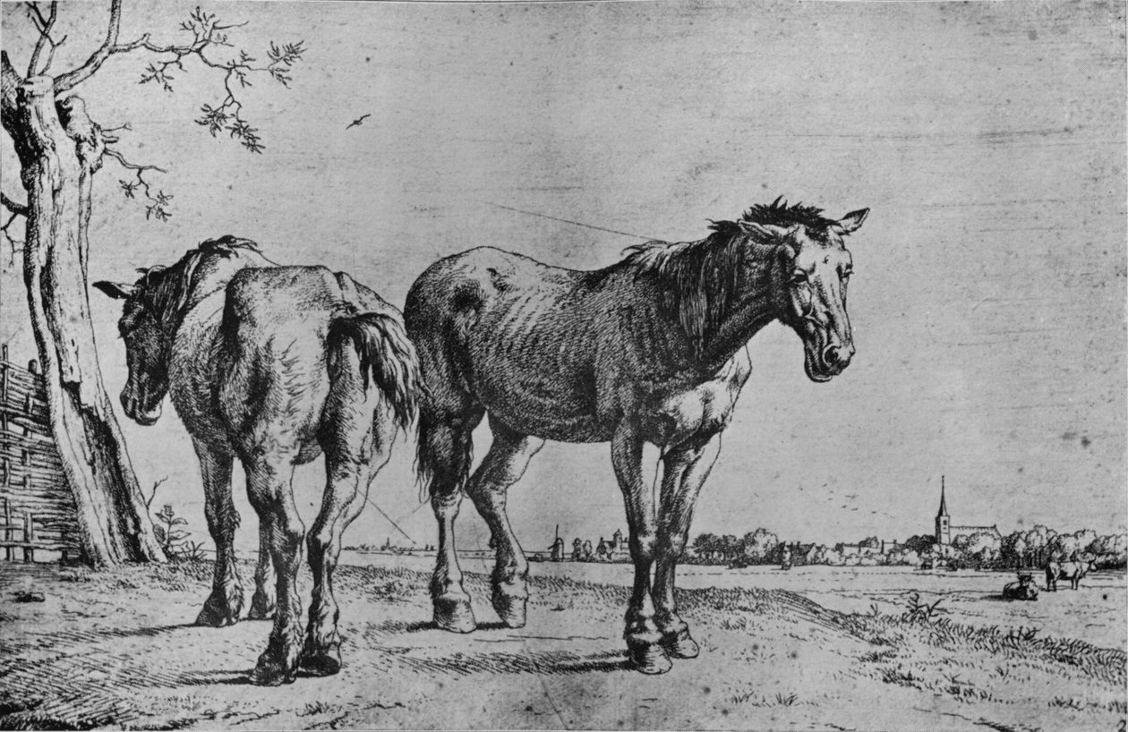 De twee ploegpaarden door Paulus Potter