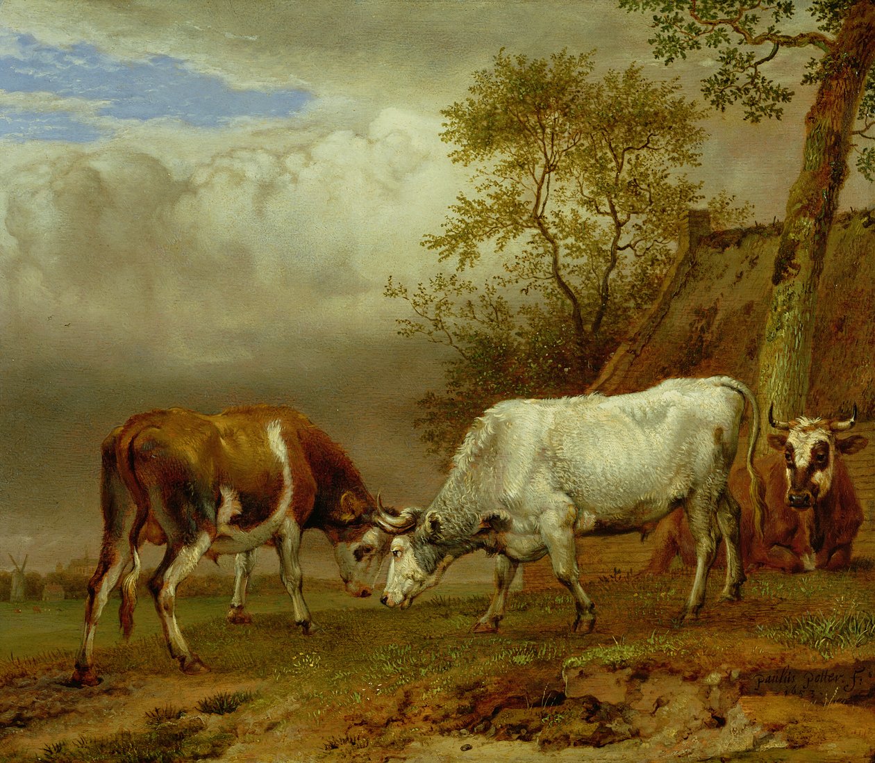 Twee stieren met vergrendelde hoorns, 1653 door Paulus Potter
