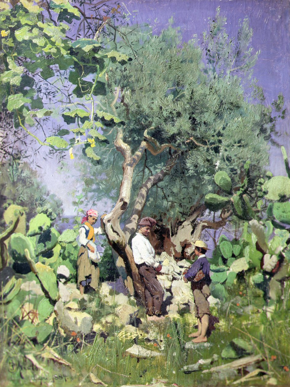 De olijvenoogst door Peder Monsted