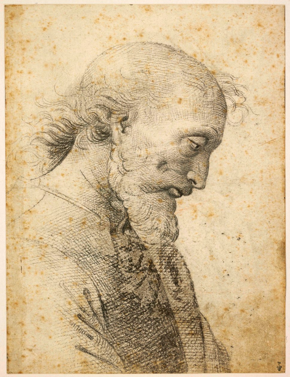 Buste van een man door Perugino