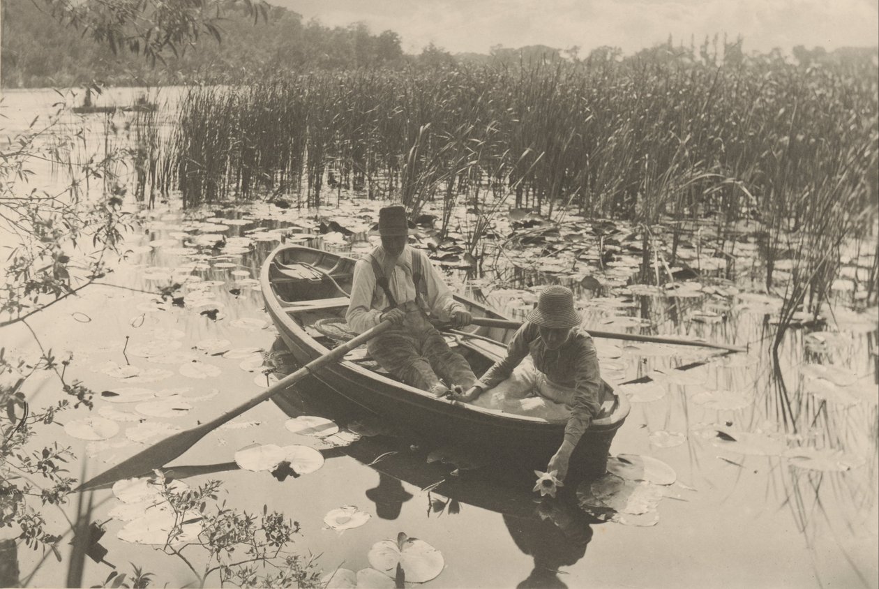 Waterlelies verzamelen door Peter Henry Emerson