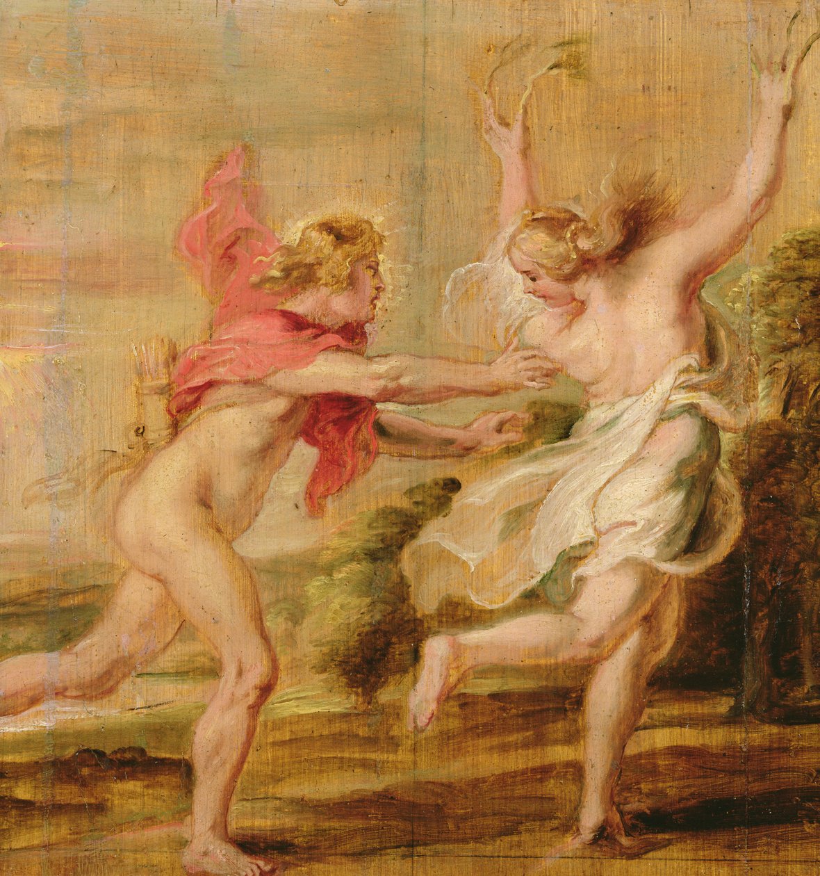 Apollo en Daphne, c.1636 door Peter Paul Rubens