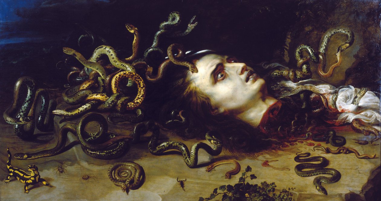 Hoofd van Medusa door Peter Paul Rubens