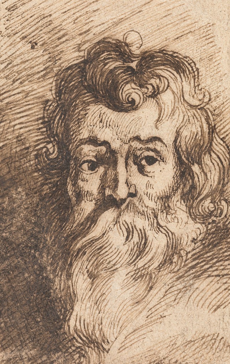 Hoofd van een bebaarde man door Peter Paul Rubens