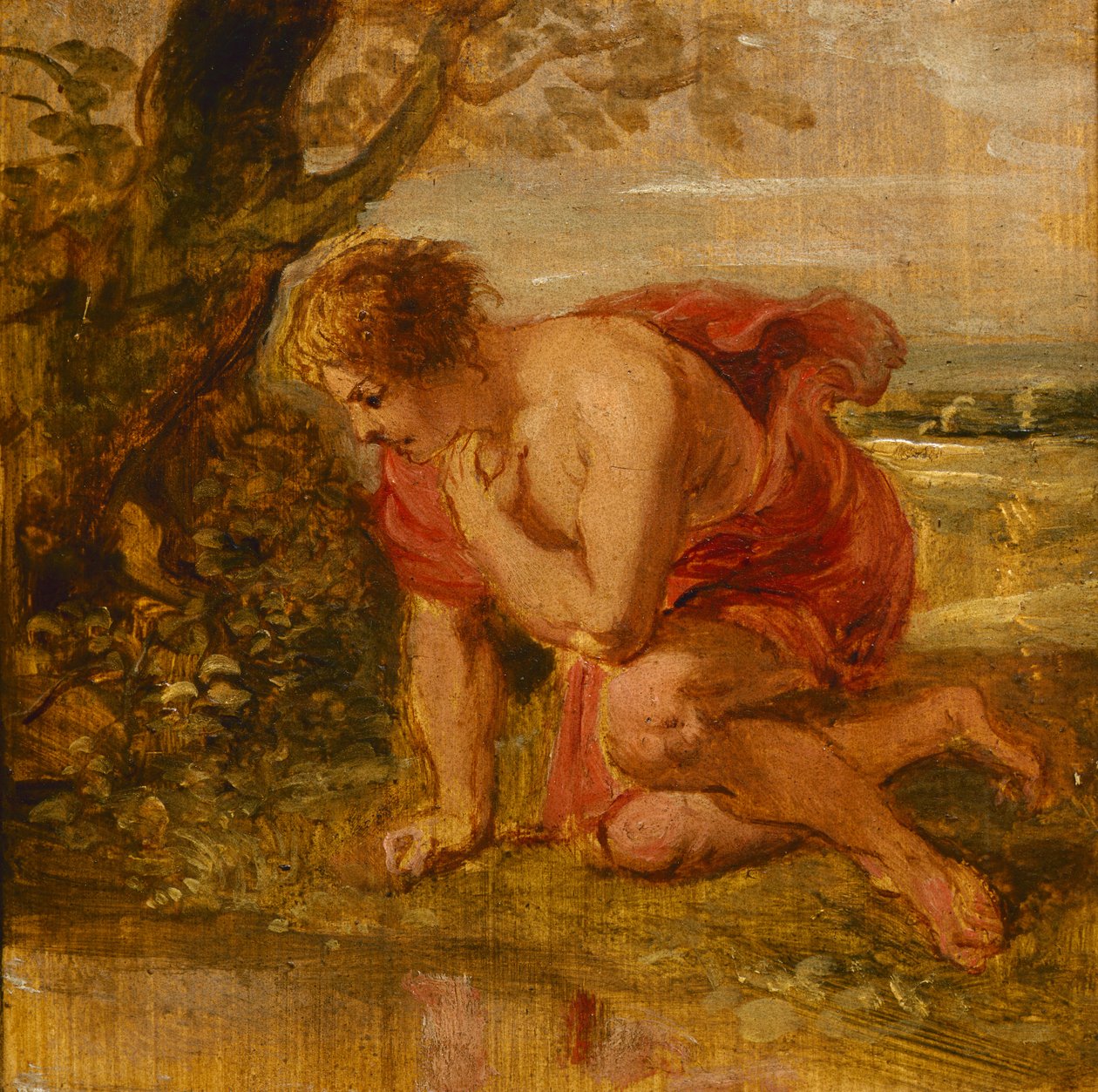 Narcissus door Peter Paul Rubens