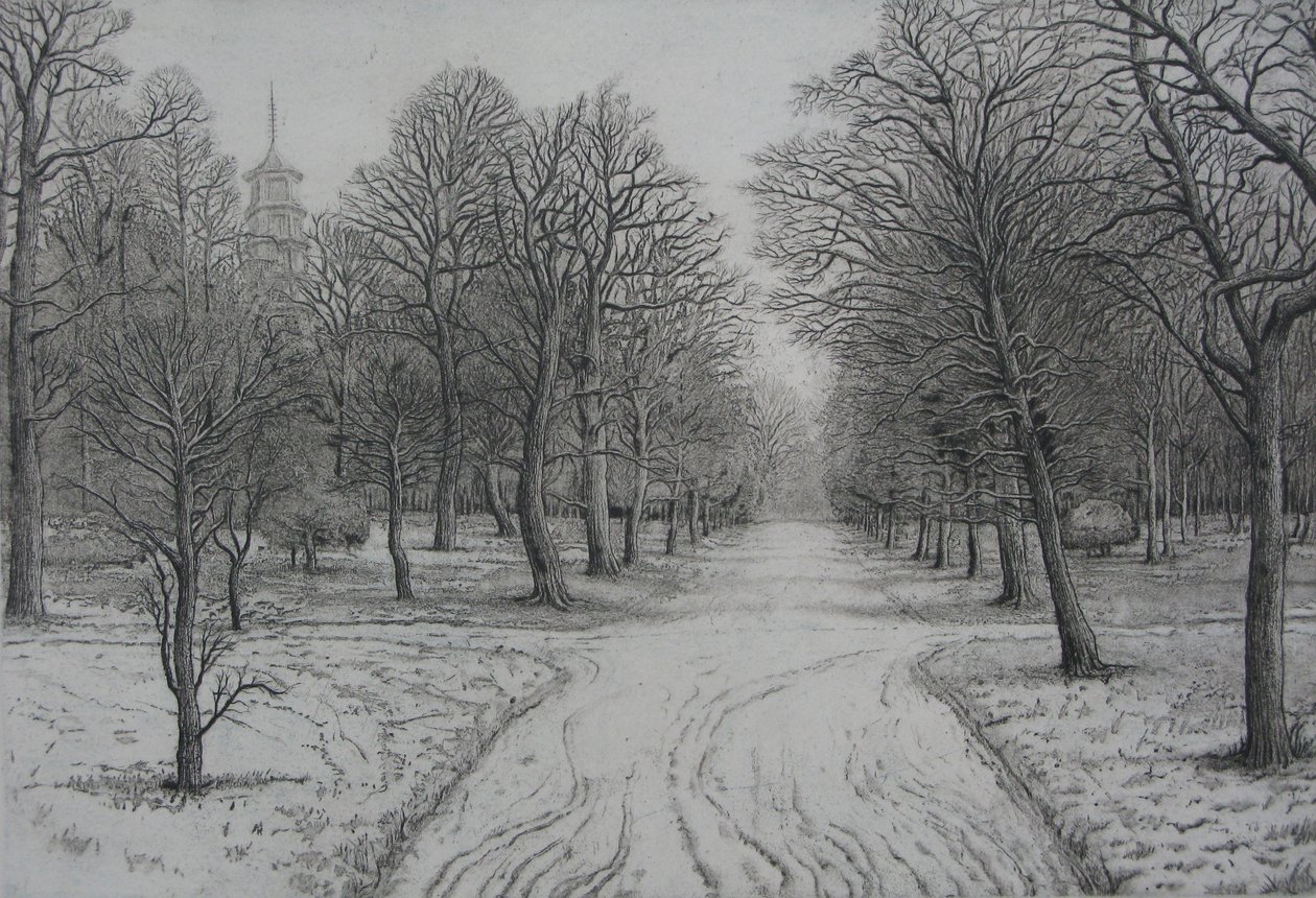 Kew Gardens in Winter door Peter A Ford