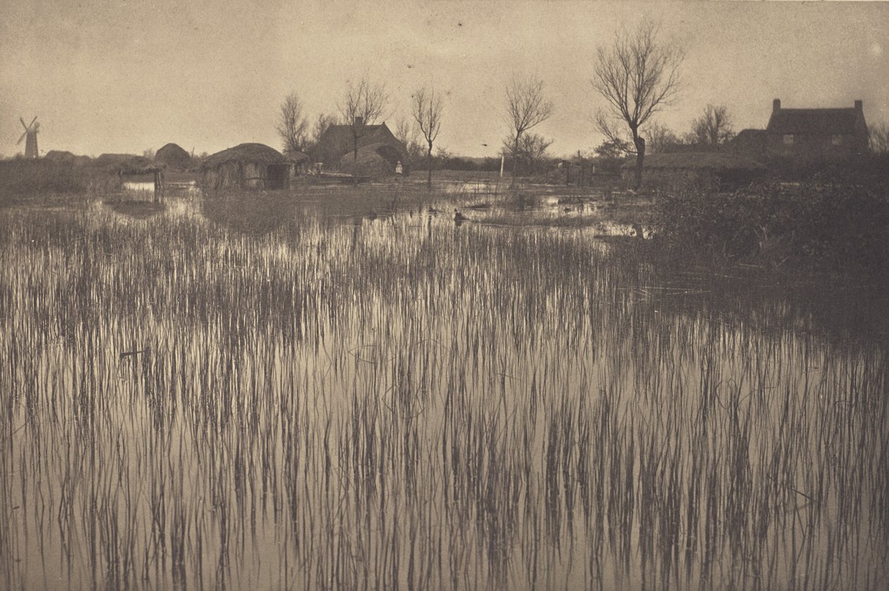Een woeste kust door Peter Henry Emerson