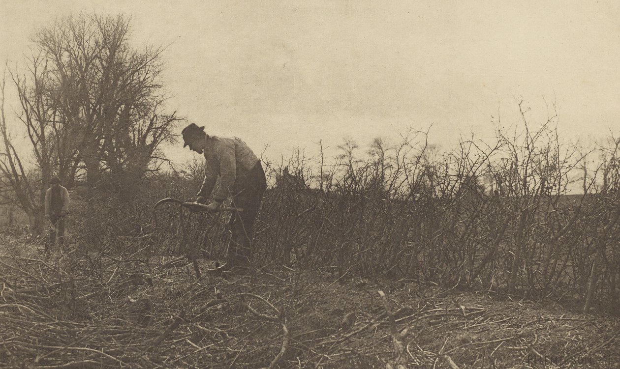 Omheiningen in Suffolk door Peter Henry Emerson