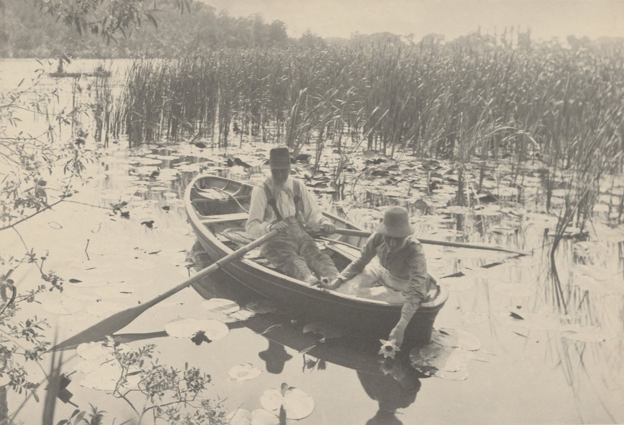 Waterlelies Verzamelen door Peter Henry Emerson