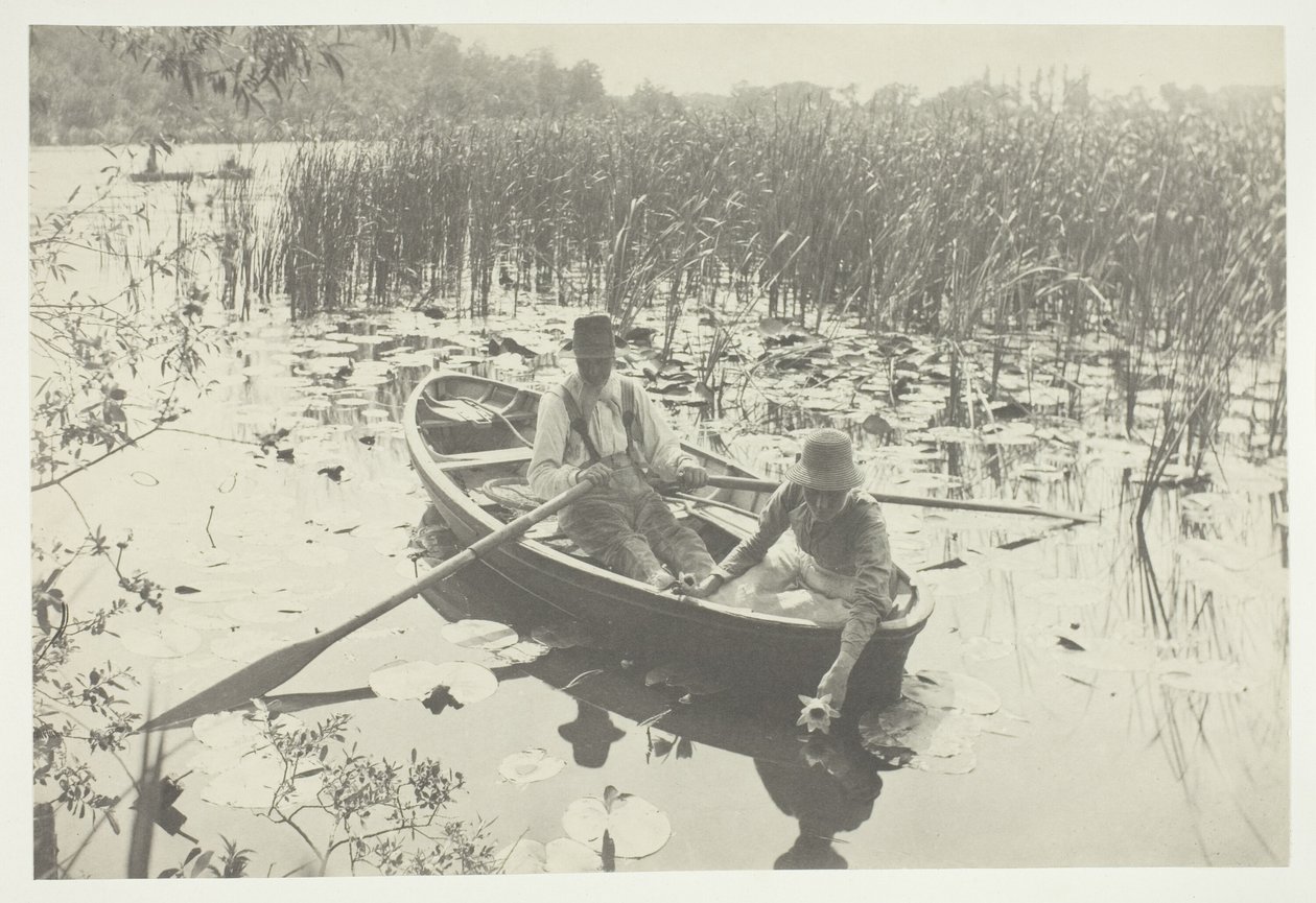 Waterlelies verzamelen door Peter Henry Emerson