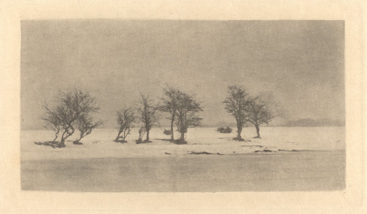 Knoestige Doornbomen door Peter Henry Emerson