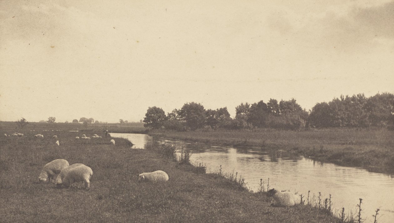 Op de rivier de Bure door Peter Henry Emerson