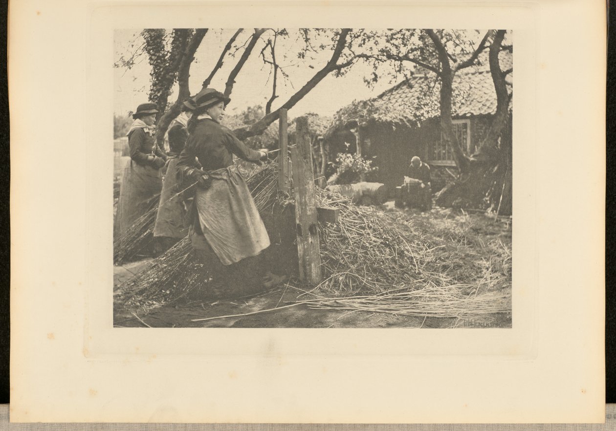 OsierPeeling. [Norfolk.] door Peter Henry Emerson