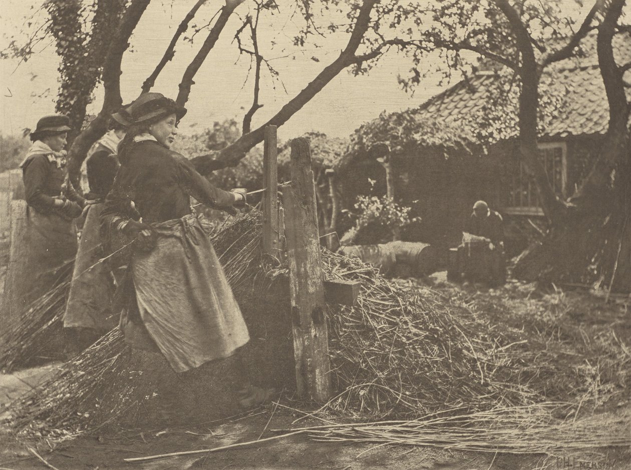 OsierPeeling. [Norfolk.] door Peter Henry Emerson